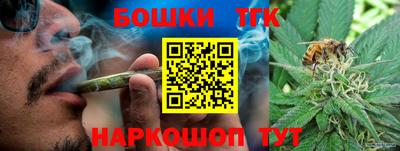 стафф Обь