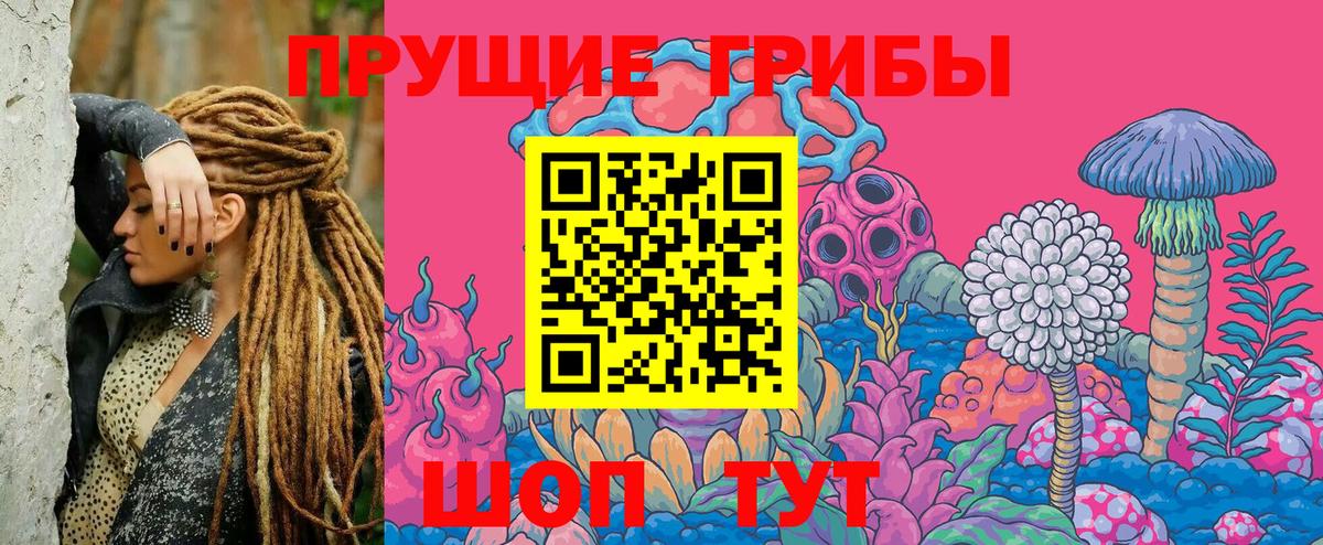 Галлюциногенные грибы Cubensis Серов